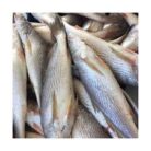 68ca9afc65591_download (7)